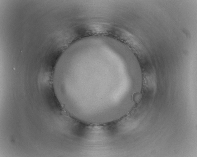 X0000115820419200911271142