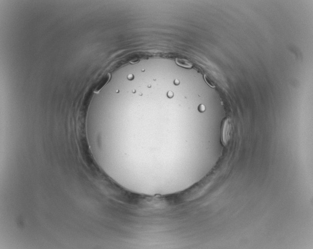 X0000115820421200911271142