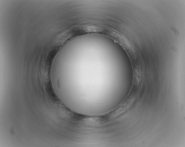 X0000115820422200911271142