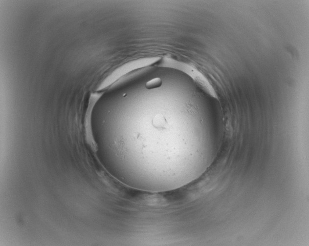 X0000115820424200911271142