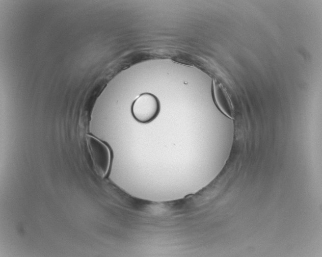 X0000115820425200911271142