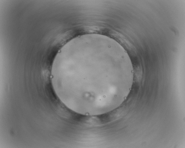 X0000115820427200911271141