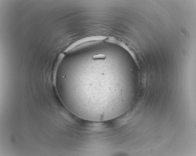 X0000115820428200911271141