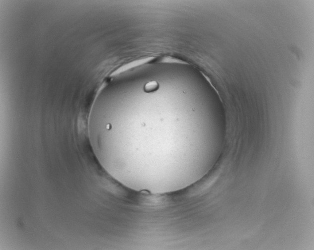 X0000115820432200911271141