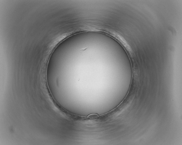 X0000115820433200911271141