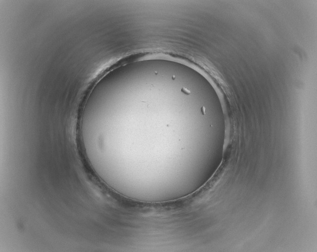 X0000115820434200911271141