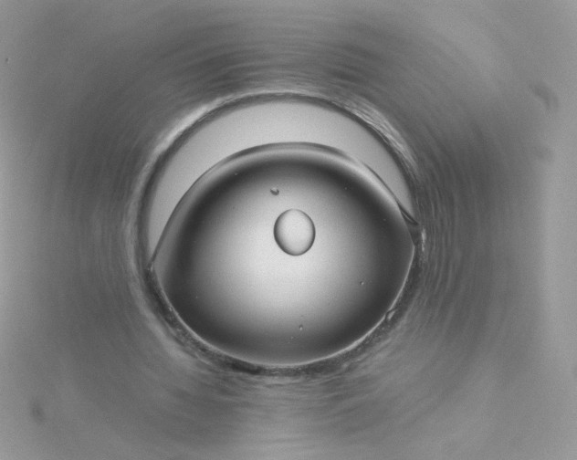 X0000115820436200911271141