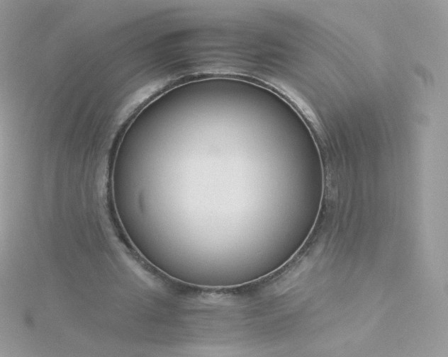 X0000115820437200911271141