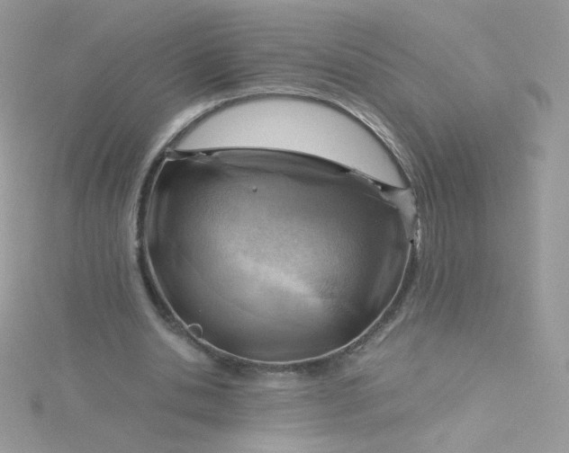 X0000115820438200911271141