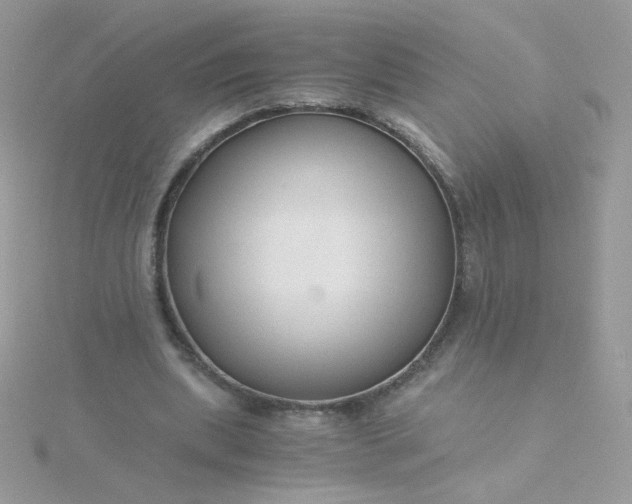 X0000115820439200911271141