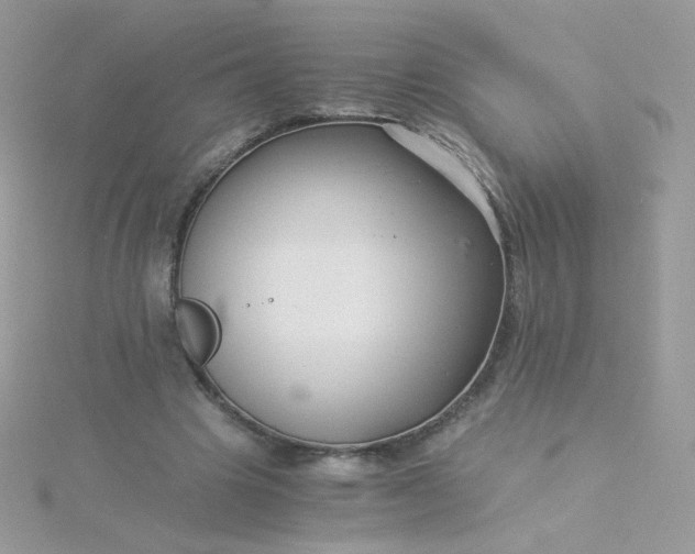 X0000115820441200911271141