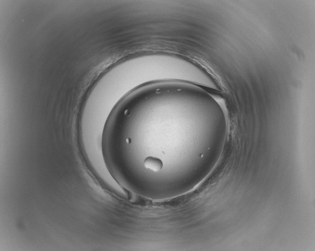 X0000115820445200911271141