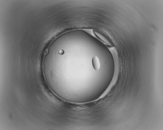 X0000115820447200911271141