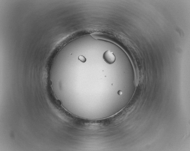 X0000115820448200911271141