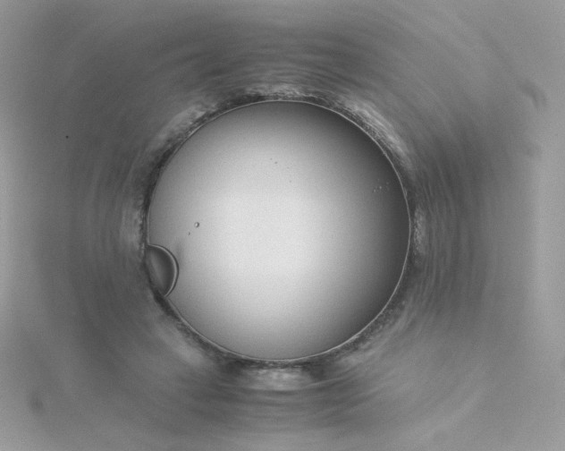 X0000115820449200911271141