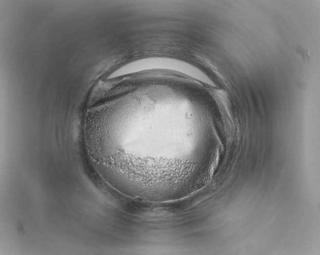 X0000115820451200911271141