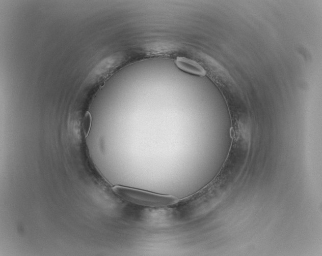 X0000115820452200911271141