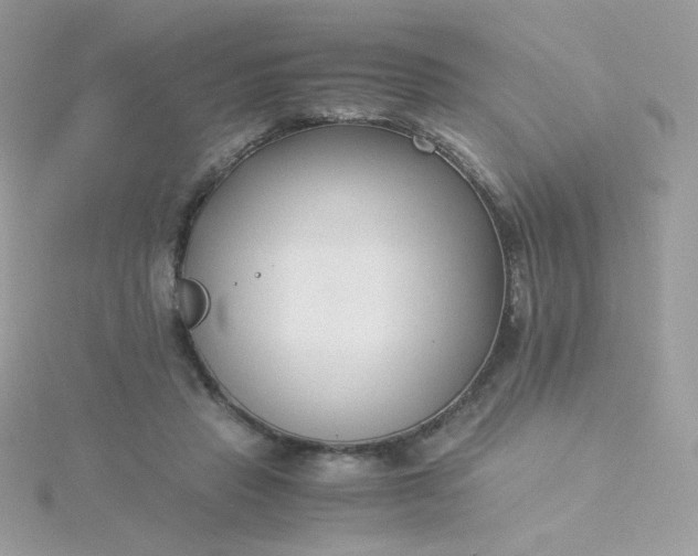 X0000115820453200911271141