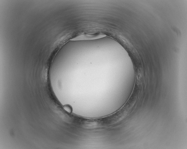 X0000115820454200911271141