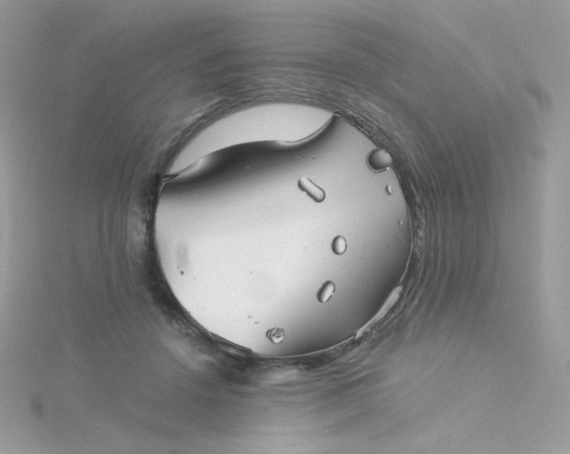 X0000115820456200911271141