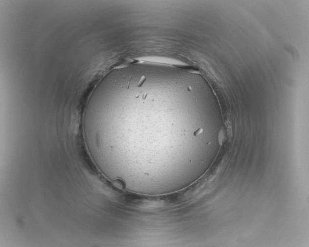 X0000115820458200911271141