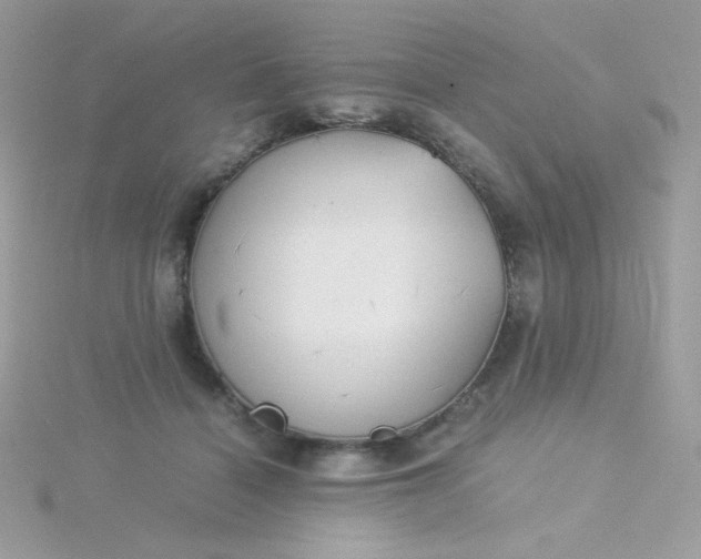 X0000115820460200911271141