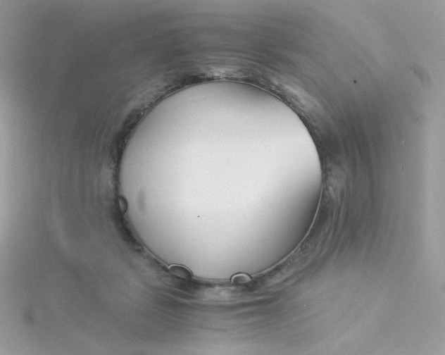 X0000115820461200911271141