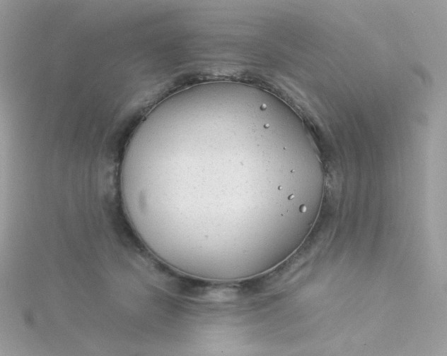 X0000115820462200911271141