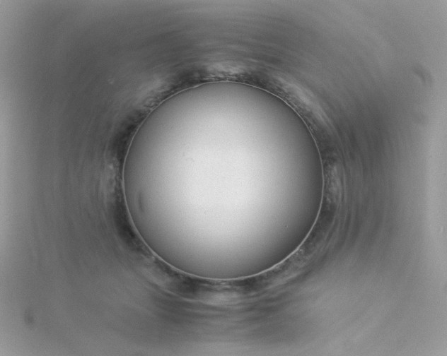 X0000115820463200911271141