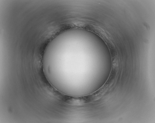 X0000115820464200911271141