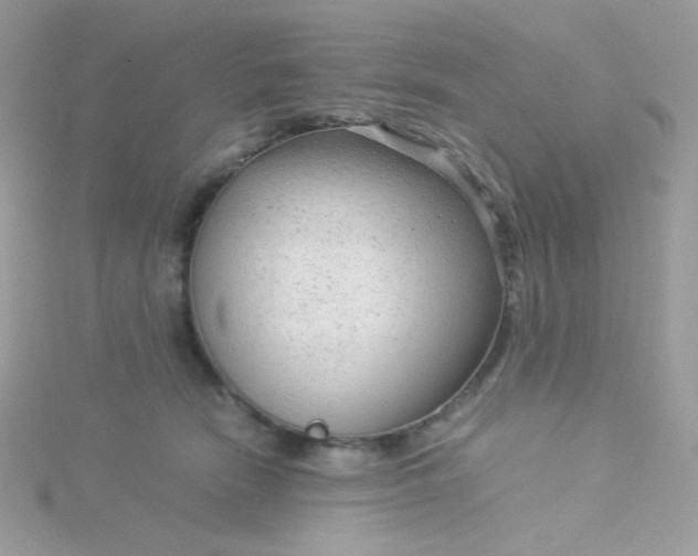 X0000115820466200911271141