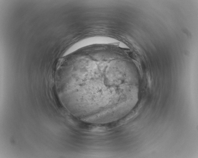 X0000115820471200911271141