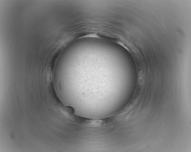 X0000115820474200911271141