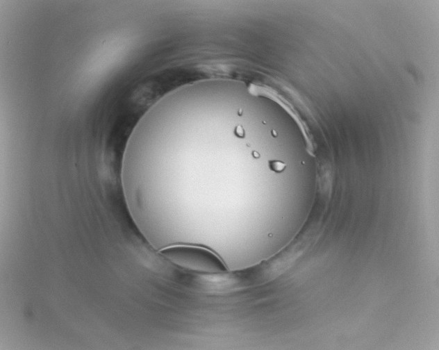 X0000115820477200911271141