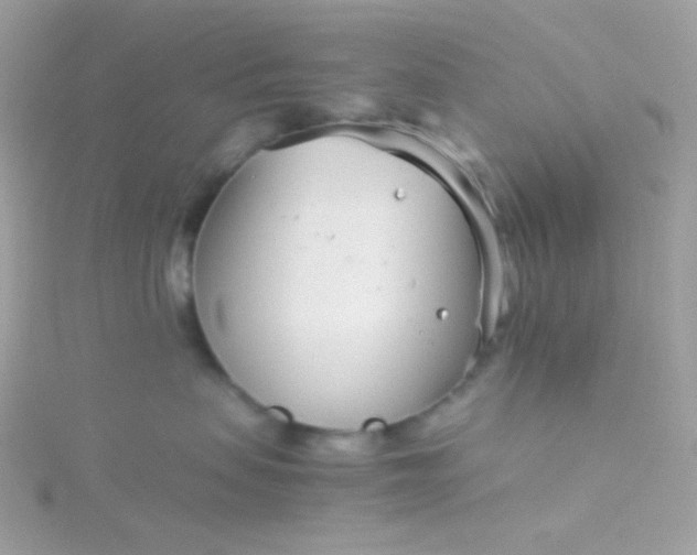 X0000115820479200911271141