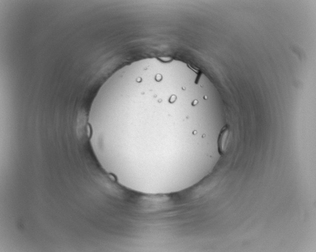 X0000115820480200911271141