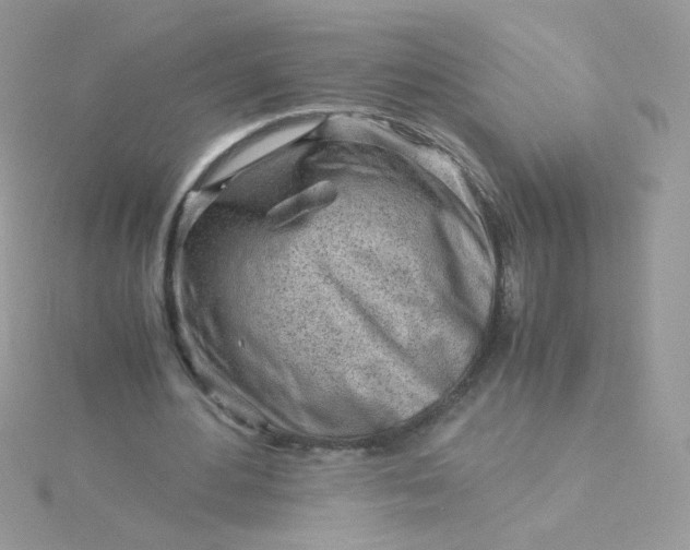 X0000115820484200911271141