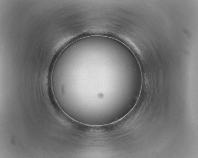 X0000115820487200911271141