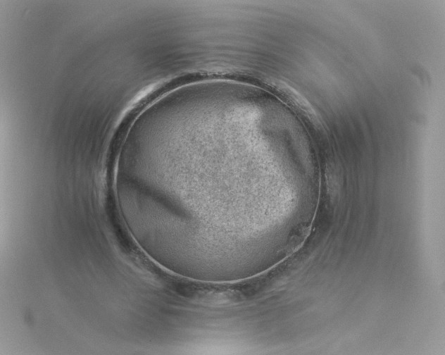 X0000115820488200911271141