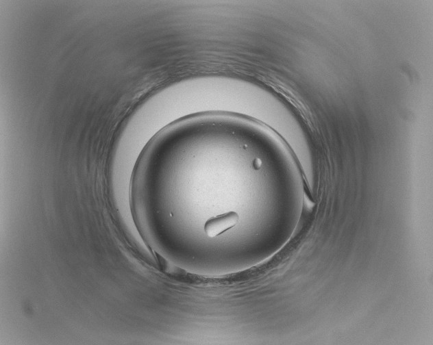 X0000115820489200911271141