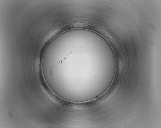 X0000115820490200911271141