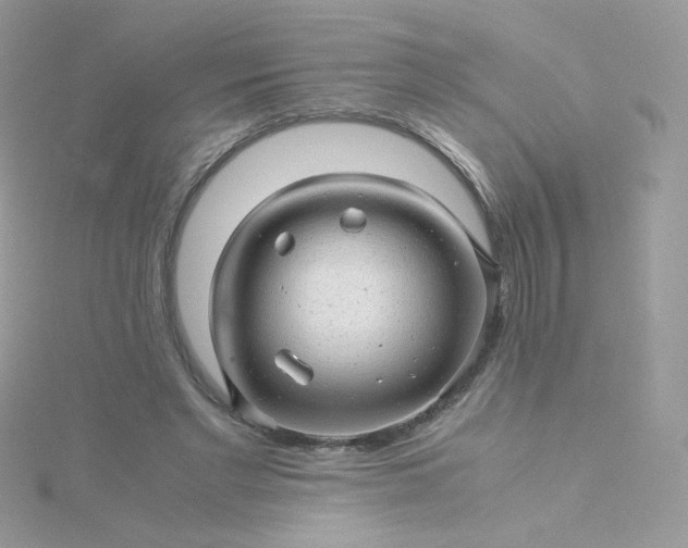 X0000115820493200911271140