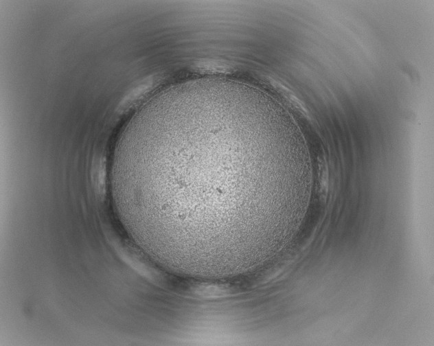 X0000115820494200911271140