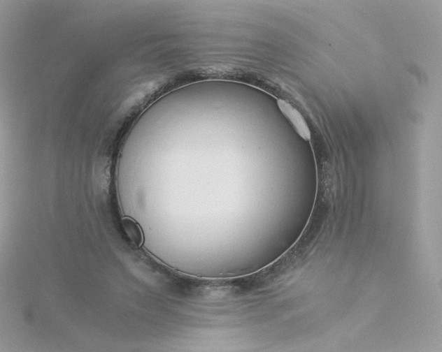 X0000115820495200911271140