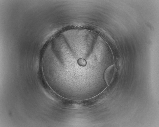 X0000115820496200911271140