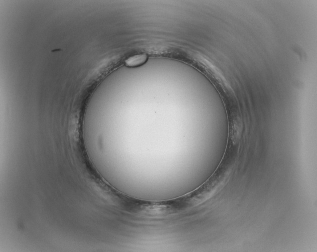 X0000115820497200911271140