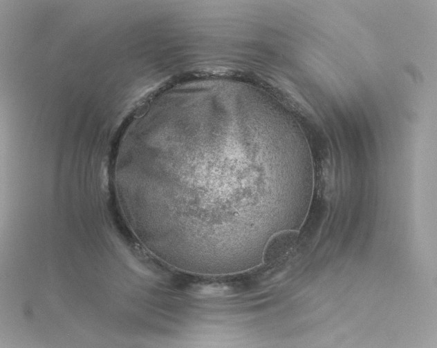 X0000115820500200911271140