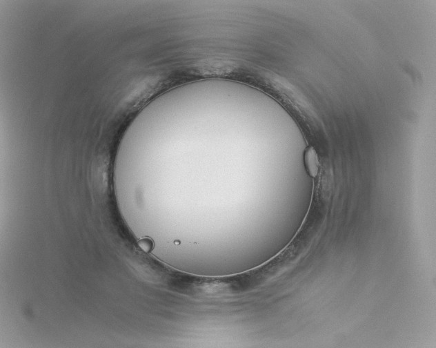 X0000115820501200911271140