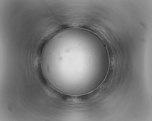 X0000115820503200911271140