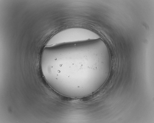 X0000115820505200911271140